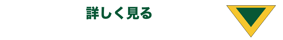 詳しく見る